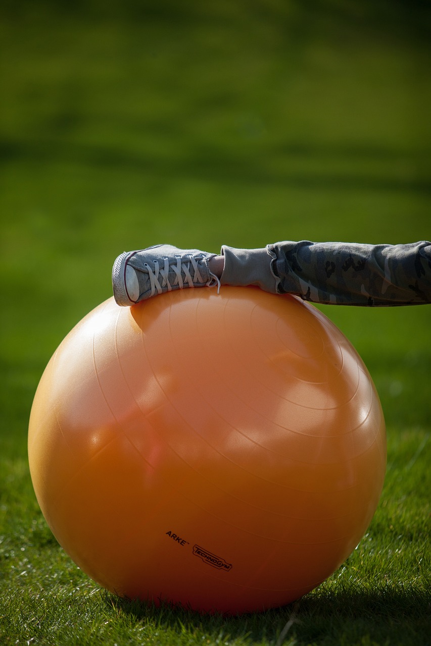 ball, gym, fitness, orange, stretchig, active, sports, train, green fitness, green gym, green train, green workout, green sports